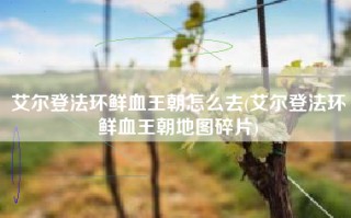 艾尔登法环鲜血王朝怎么去(艾尔登法环鲜血王朝地图碎片)