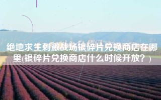 绝地求生刺激战场银碎片兑换商店在哪里(银碎片兑换商店什么时候开放？)