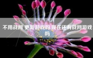 不用战网 更新游戏吗,现在还有战网游戏吗