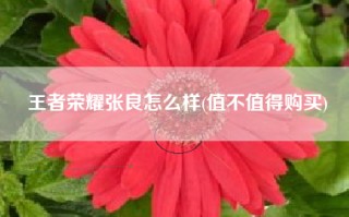 王者荣耀张良怎么样(值不值得购买)