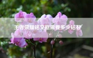 王者荣耀铭文框需要多少钻石