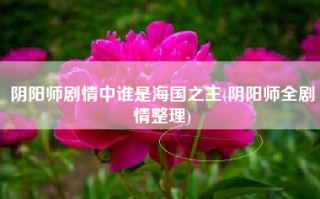阴阳师剧情中谁是海国之主(阴阳师全剧情整理)