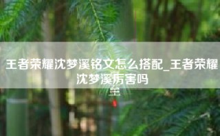 王者荣耀沈梦溪铭文怎么搭配_王者荣耀沈梦溪厉害吗