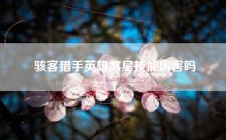 骇客猎手英雄煞星技能厉害吗