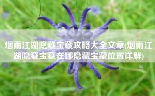 烟雨江湖隐藏宝藏攻略大全文章(烟雨江湖隐藏宝藏在哪隐藏宝藏位置详解)
