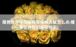 魔兽世界怀旧服牧师练级天赋怎么点(魔兽世界怀旧服牧师宏)
