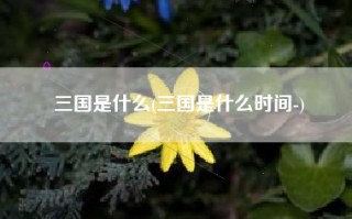 三国是什么(三国是什么时间-)