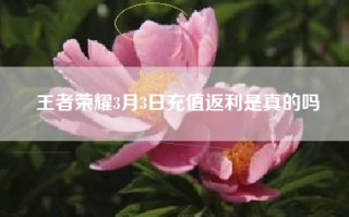王者荣耀3月3日充值返利是真的吗