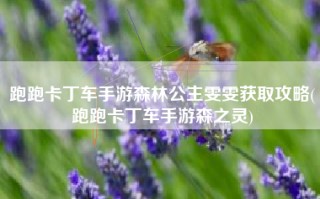 跑跑卡丁车手游森林公主雯雯获取攻略(跑跑卡丁车手游森之灵)