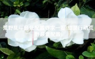 荒野乱斗最低配置要求一览(幽灵行动荒野最低配置)