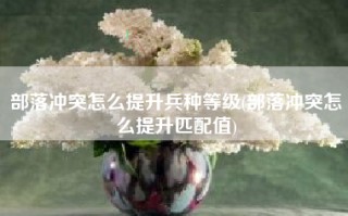 部落冲突怎么提升兵种等级(部落冲突怎么提升匹配值)