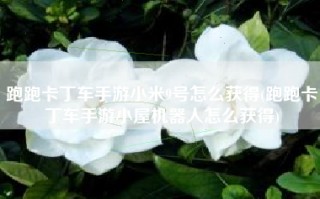 跑跑卡丁车手游小米9号怎么获得(跑跑卡丁车手游小屋机器人怎么获得)