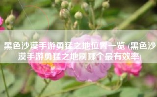 黑色沙漠手游勇猛之地位置一览 (黑色沙漠手游勇猛之地刷哪个最有效率)