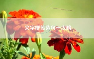 文字梗传造句一攻略