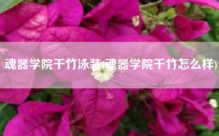 魂器学院千竹泳装(魂器学院千竹怎么样)