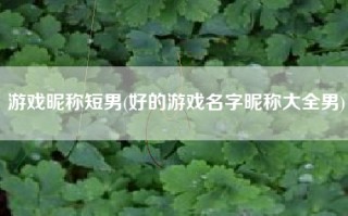 游戏昵称短男(好的游戏名字昵称大全男)