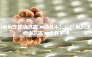 航海王燃烧意志100级甚平怎么过(航海王燃烧意志100级装备图)