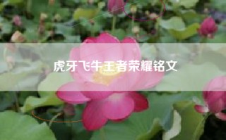 虎牙飞牛王者荣耀铭文