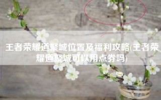 王者荣耀道聚城位置及福利攻略(王者荣耀道聚城可以用点券吗)