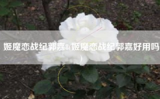姬魔恋战纪郭嘉8(姬魔恋战纪郭嘉好用吗)