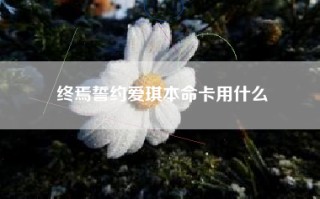 终焉誓约爱琪本命卡用什么