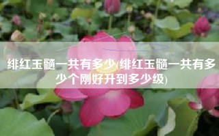 绯红玉髓一共有多少(绯红玉髓一共有多少个刚好升到多少级)