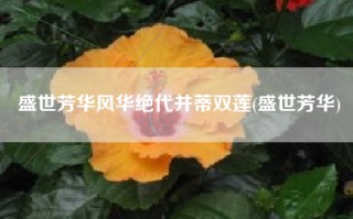 盛世芳华风华绝代并蒂双莲(盛世芳华)