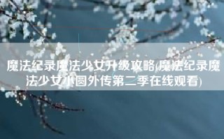 魔法纪录魔法少女升级攻略(魔法纪录魔法少女小圆外传第二季在线观看)