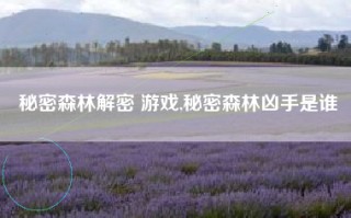 秘密森林解密 游戏,秘密森林凶手是谁