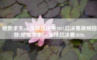 绝地求生pgc全球总决赛2021总决赛视频回放(绝地求生pgc全球总决赛2020)