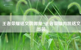 王者荣耀铭文装哪里_王者荣耀肉凯铭文出装