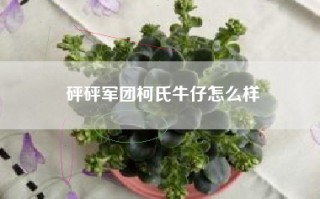 砰砰军团柯氏牛仔怎么样