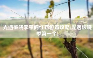 光遇破晓季禁阁红石位置攻略(光遇破晓季第一个)