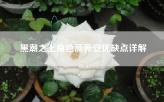 黑潮之上角色薇薇安优缺点详解