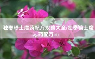 独奏骑士魔药配方攻略大全(独奏骑士魔药配方s6)