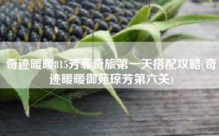 奇迹暖暖815芳菲奇旅第一天搭配攻略(奇迹暖暖御苑琼芳第六关)