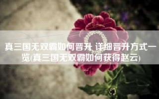 真三国无双霸如何晋升 详细晋升方式一览(真三国无双霸如何获得赵云)