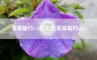 苍蓝誓约4-2怎么过(苍蓝誓约wiki)
