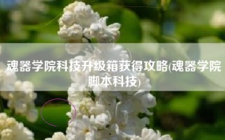 魂器学院科技升级箱获得攻略(魂器学院脚本科技)