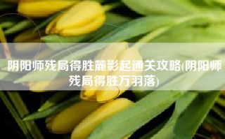 阴阳师残局得胜麓影起通关攻略(阴阳师残局得胜万羽落)