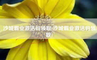 沙城霸业激活码领取(沙城霸业激活码领取)