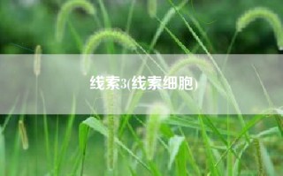 线索3(线索细胞)
