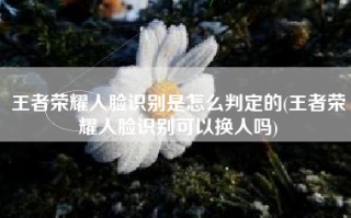 王者荣耀人脸识别是怎么判定的(王者荣耀人脸识别可以换人吗)