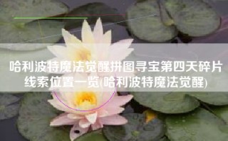 哈利波特魔法觉醒拼图寻宝第四天碎片线索位置一览(哈利波特魔法觉醒)