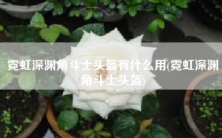 霓虹深渊角斗士头盔有什么用(霓虹深渊角斗士头盔)