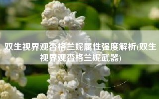 双生视界观杏格兰妮属性强度解析(双生视界观杏格兰妮武器)
