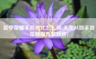 装甲荣耀手游虎式怎么得(天龙八部手游荣耀版九黎妖虎)