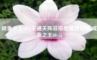 咸鱼之王6896关通关阵容搭配推荐攻略(咸鱼之王68-5)
