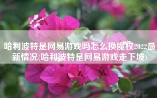 哈利波特是网易游戏吗怎么换魔杖2022最新情况(哈利波特是网易游戏走下坡)
