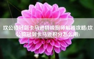 坎公骑冠剑卡马逊特级厨师解锁攻略(坎公骑冠剑卡马逊积分怎么用)